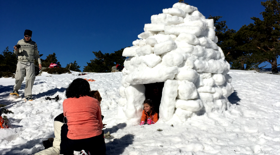 Raquetas de nieve + construcción de Iglú + trineo