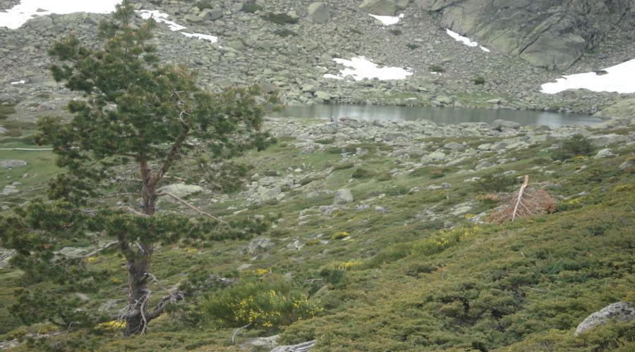 Peñalara y Cresta de Claveles