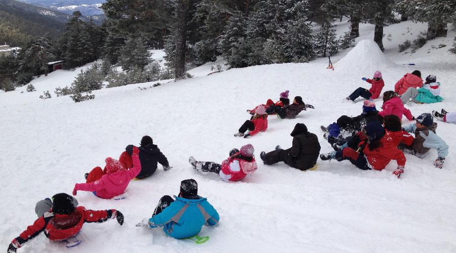 Actividades en el Pirineo. Raquetas y trineos