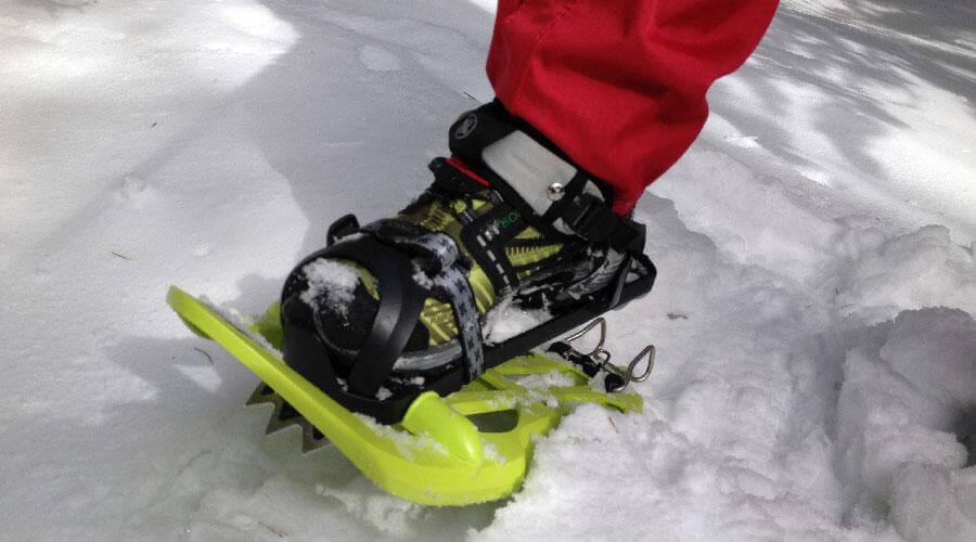 Cursos de raquetas de nieve