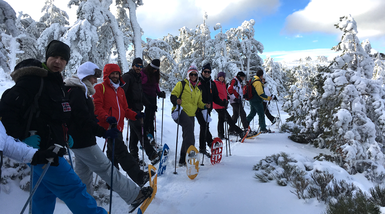 Raquetas de Nieve en Madrid (Navacerrada)