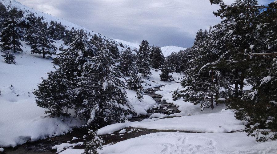 Raquetas de Nieve en el Valle de Tena (3 días)