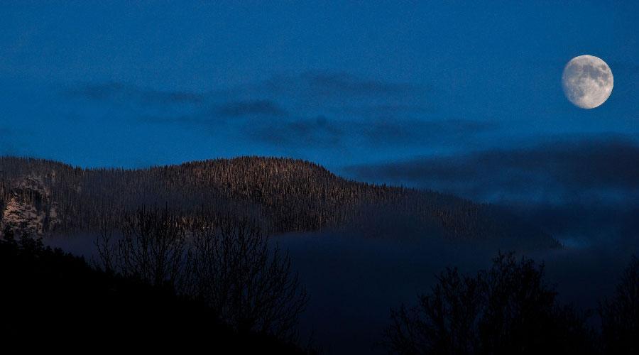 Raquetas bajo la luna llena en Sierra Nevada