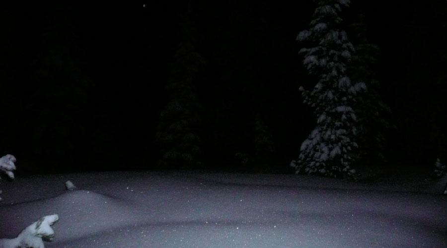Raquetas bajo la luna llena en Sierra Nevada