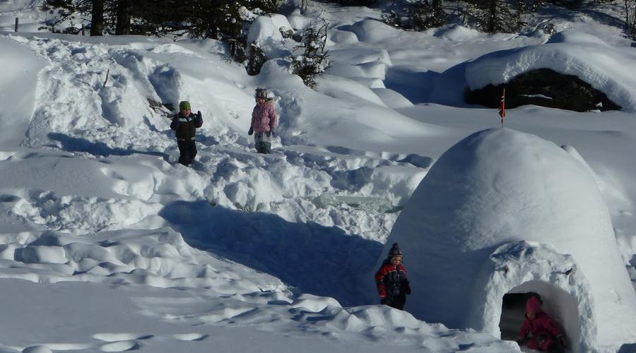 Snowshoeing + igloo building + sledding in Sierra Nevada