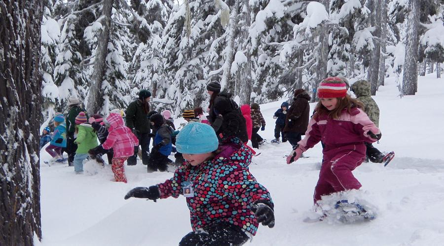 Snowshoeing + igloo building + sledding in Sierra Nevada