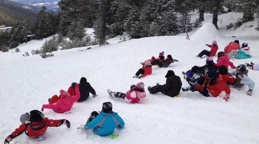 Snowshoeing, igloo building, and sledding in Madrid