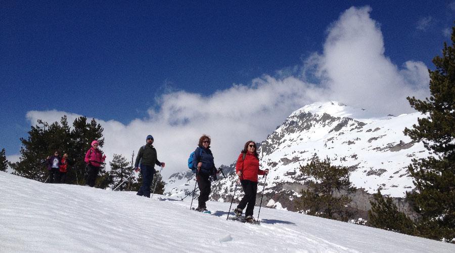 Snowshoeing in Sierra Nevada