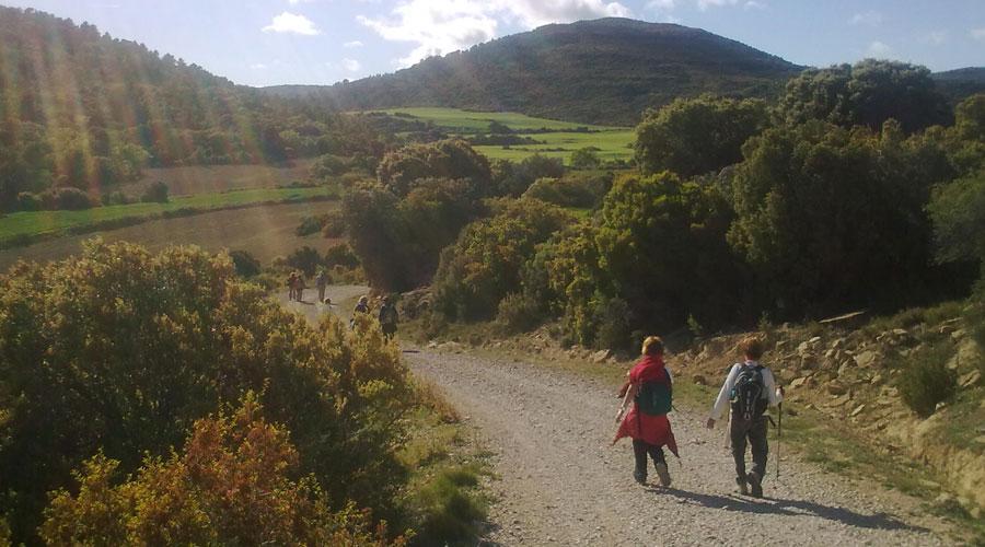 Abedular de Somosierra