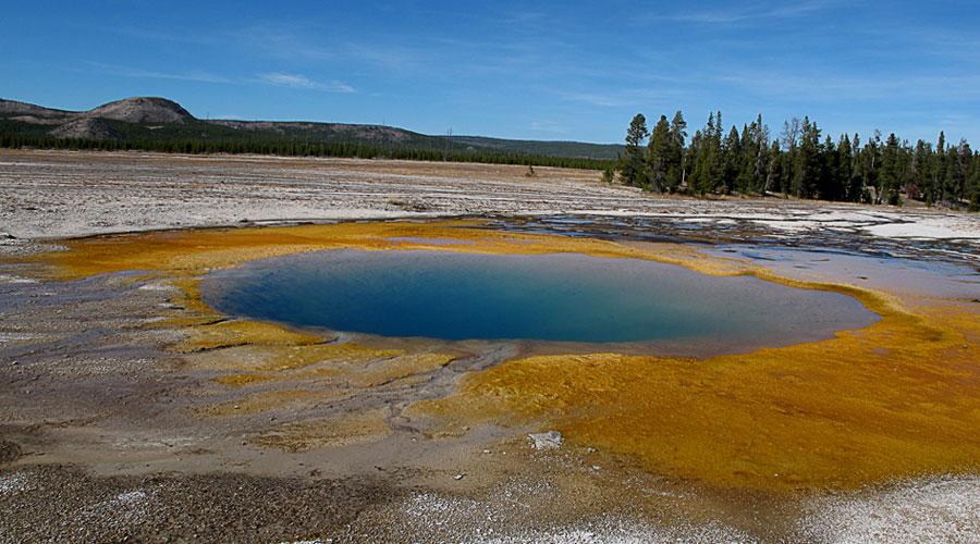EEUU: Yellowstone y Parques Nacionales del medio Oeste. 