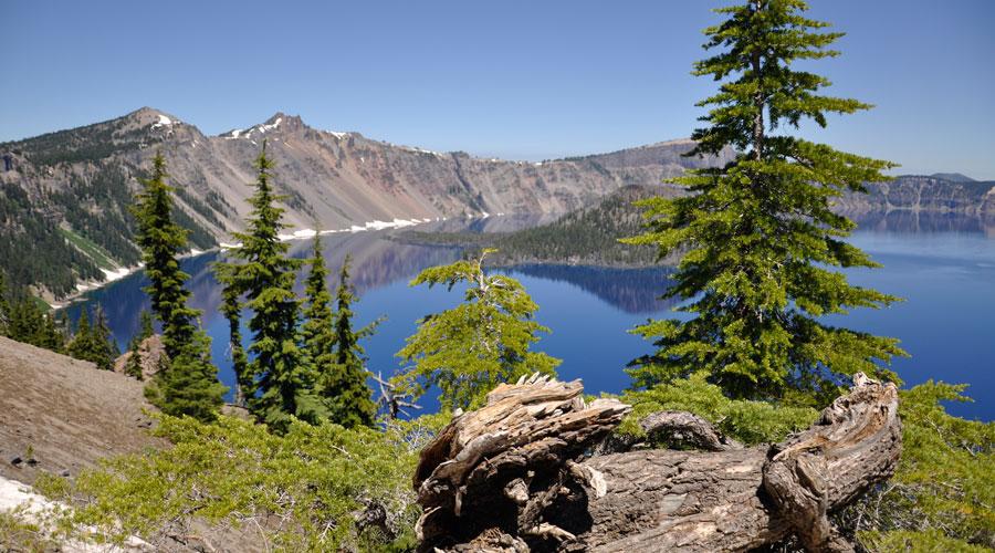 EEUU: Parques Nacionales de la costa Pacífico Norte