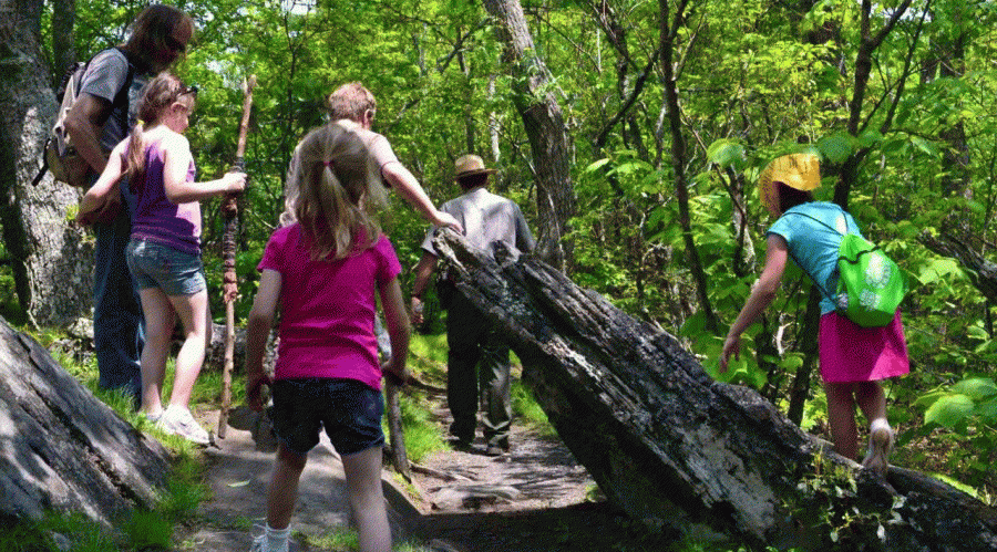 Discovering la Pedriza: Route to the Cancho de los Muertos