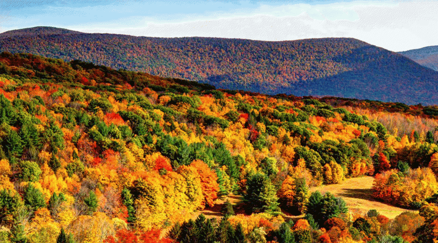 Béjar: Castaños de Montemayor y Chorrera de Hervás
