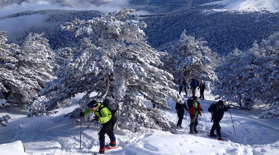 Raquetas de nieve en Madrid. (Peñalara).