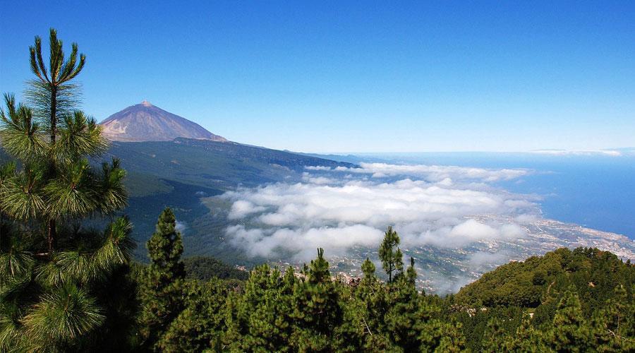 Mount Teide 