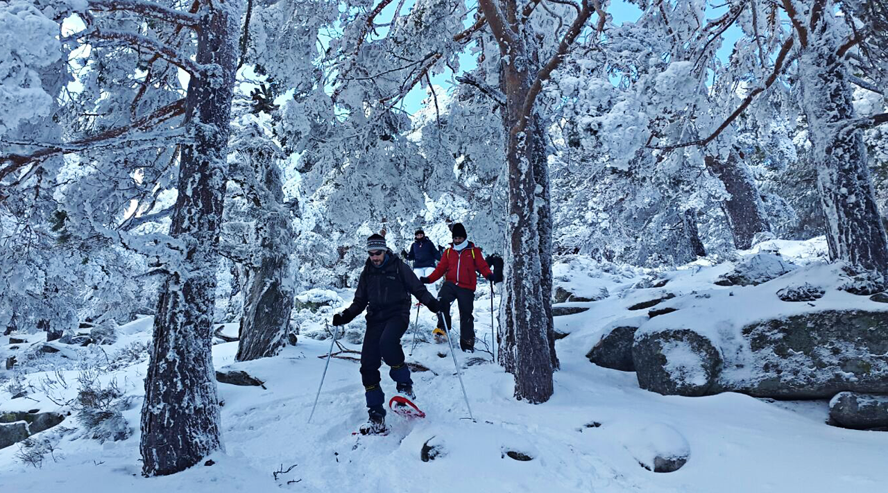 Raquetas de nieve en Madrid.(Navacerrada) EN
